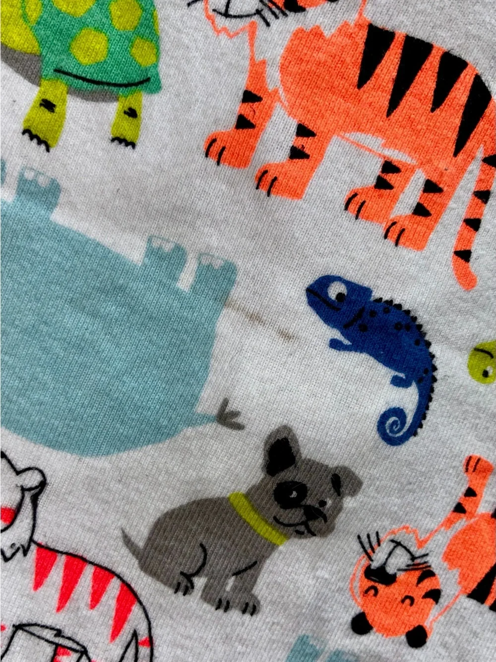 Green-Trim Dinosaur & Animal Footed One-Piece for Kids